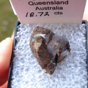 TN88 Boulder Opal Rough in Thumbnail Display Case