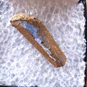 TN89 Boulder Opal Rough in Thumbnail Display Case