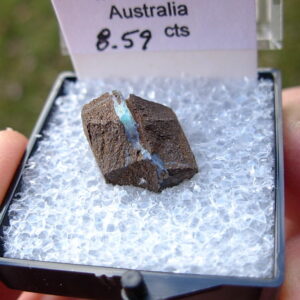 TN90 Boulder Opal Rough in Thumbnail Display Case