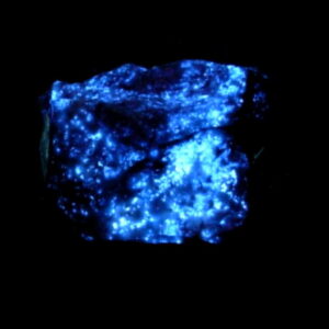 Fluorescent 11 Rare Old Stock Scheelite in Quartz