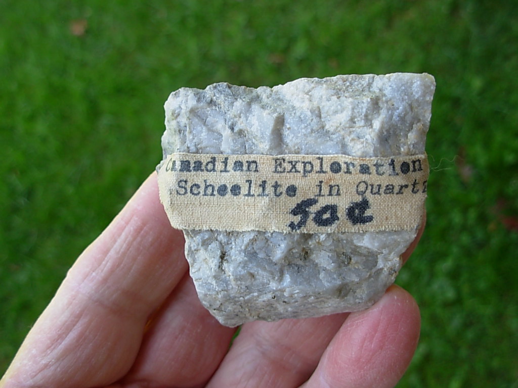 Fluorescent 11 Rare Old Stock Scheelite in Quartz - Image 4