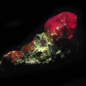 Fluorescent 12 Scapolite and Pyroxene with additional Chondrodite