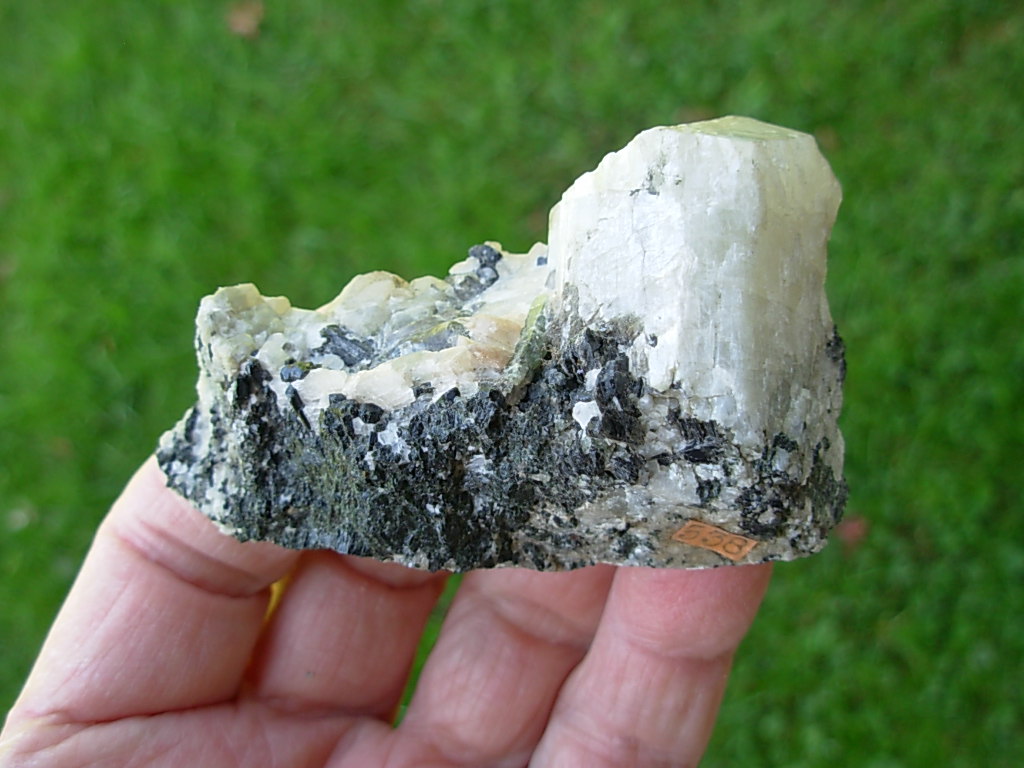Fluorescent 12 Scapolite and Pyroxene with additional Chondrodite - Image 3