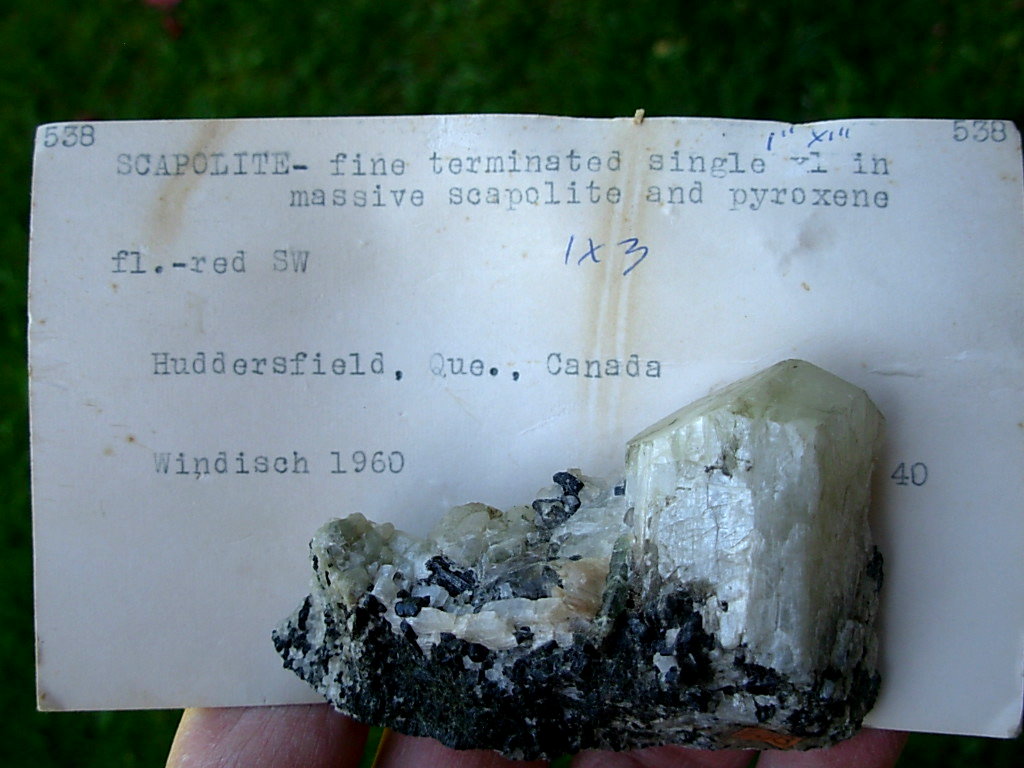 Fluorescent 12 Scapolite and Pyroxene with additional Chondrodite - Image 2
