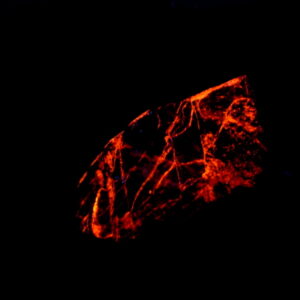 Fluorescent AZ 17 Very Rare Calcite Veins from the Glove Mine