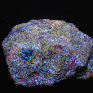 Fluorescent 10 Large Cabinet Premium Chondrodite and Diopside on Calcite