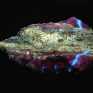 Fluorescent 7 Large Cabinet Premium Aragonite "Lightning Bolts" with Chondrodite and Diopside on Calcite