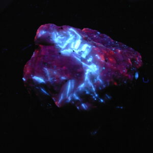 Fluorescent 9 Large Cabinet Premium Aragonite “Lightning Bolts” with Diopside on Calcite