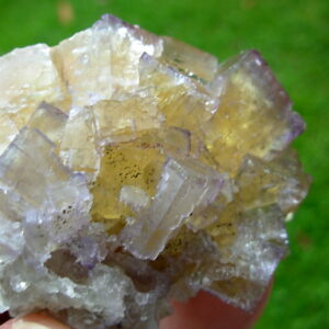 #08 Old Stock zoned Yellow Fluorite with Purple Phantoms from Cave-in-Rock, IL