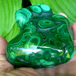A+ GradePolished Malachite Freeform 7