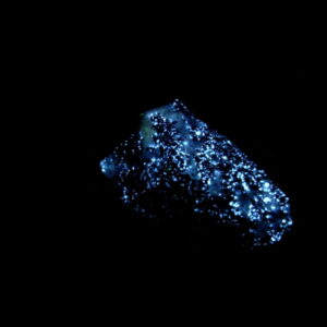 Fluorescent AZ 16 Scheelite and Quartz from Patagonia Mountains