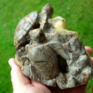 Septarian Carved Sea Turtles over Calcite Crystal Lined ribbon Vug 16