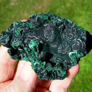 Velvet Malachite from Congo 6
