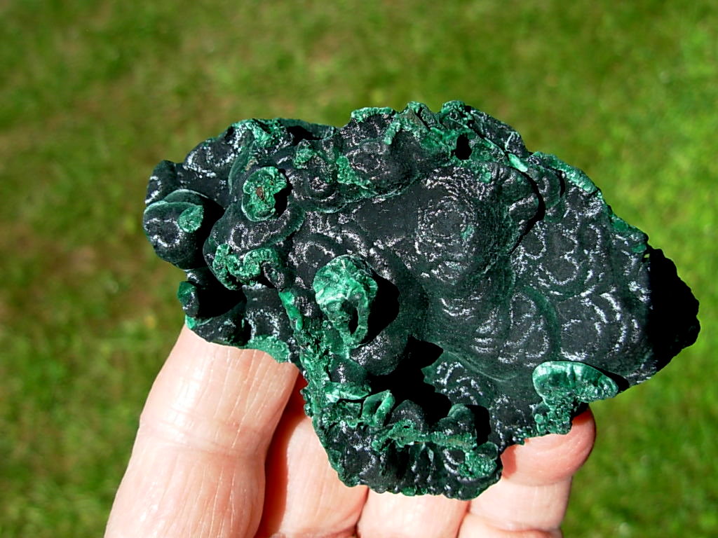 Velvet Malachite 6 (2)