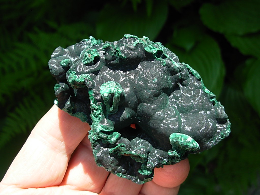 Velvet Malachite 6 (3)