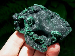 Velvet Malachite 6 (4)