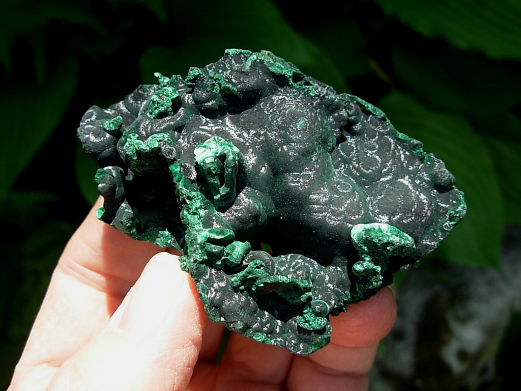 Velvet Malachite 6 (6)