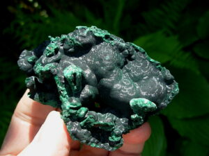 Velvet Malachite 6 (7)