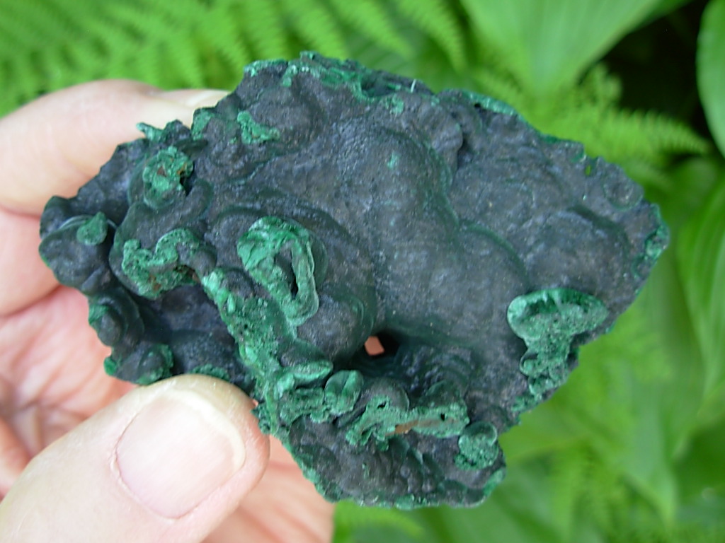 Velvet Malachite 6 (9)