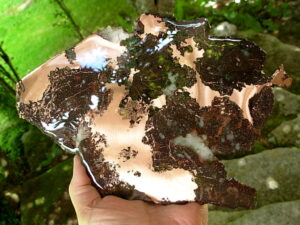 Copper Ore Slab 3 (10)