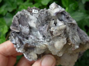 Boxworth Fluorite 10 (11)
