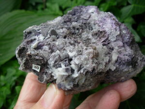 Boxworth Fluorite 10 (7)