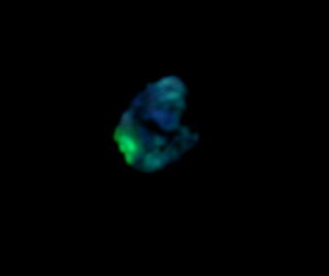 Boxwork Fluorite 3 (1)