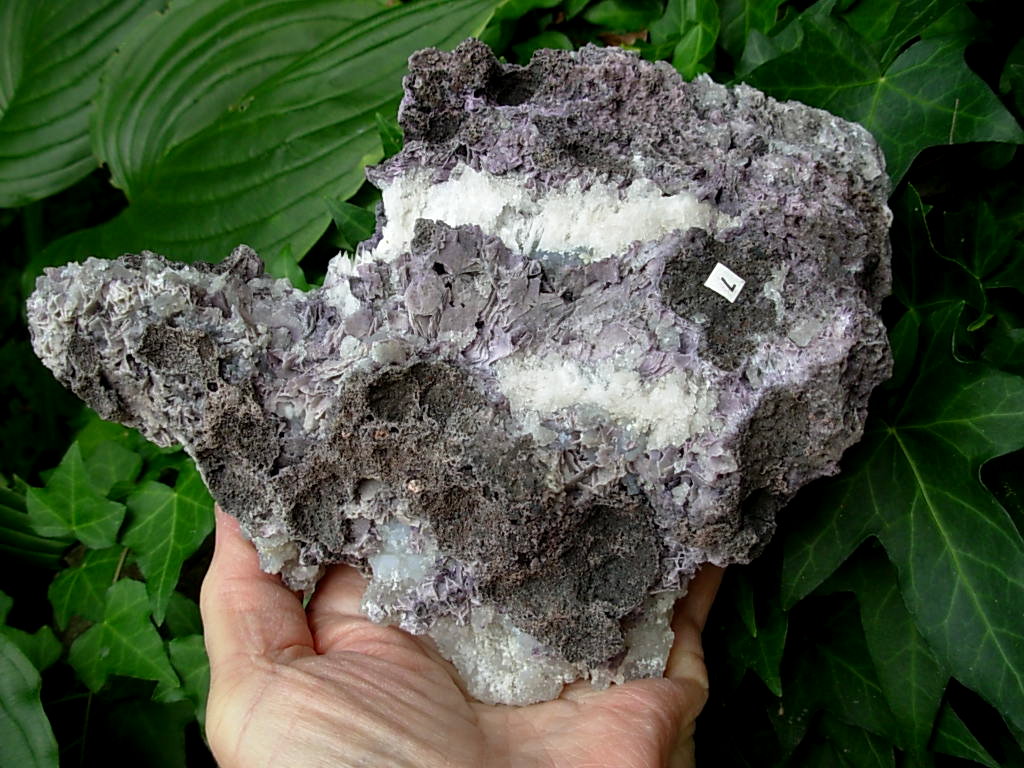 Boxworth Fluorite 7 (12)