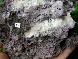 Boxworth Fluorite 7 (14)