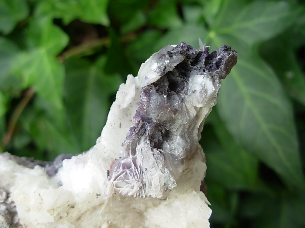 Boxworth Fluorite 9 (7)