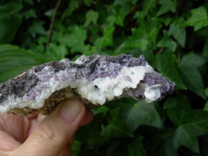 Boxworth Fluorite 9 (9)