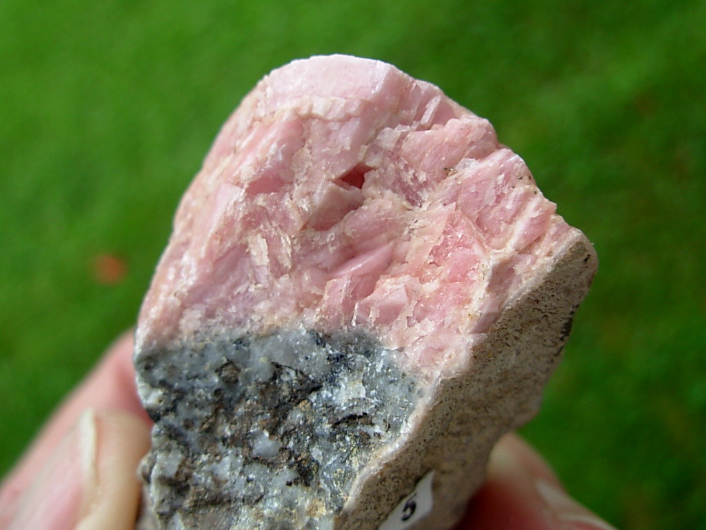Rhodochrosite on Matrix from Colorado 5