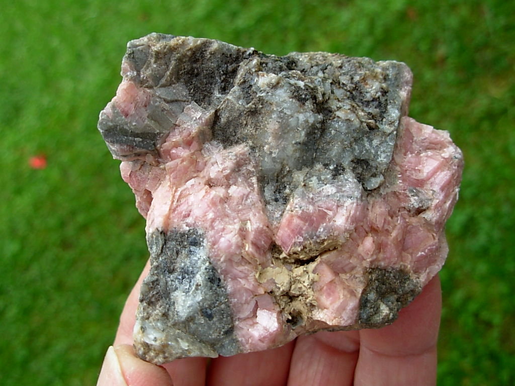Rhodochrosite on Matrix from Colorado 6 - Image 7