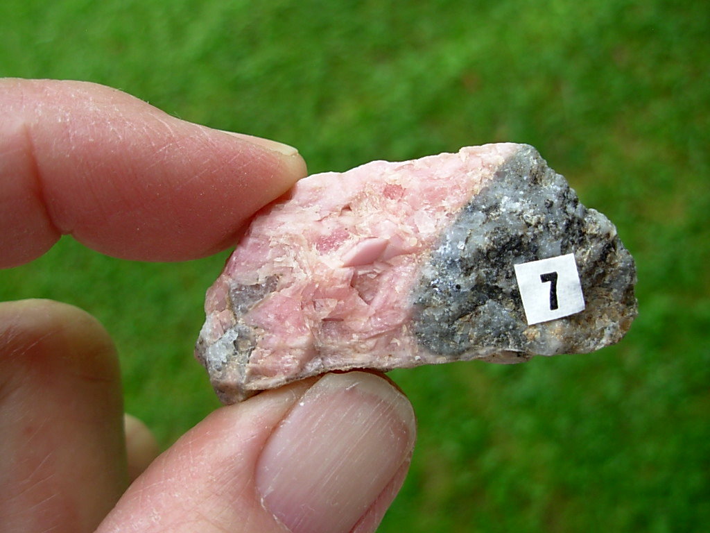 Rhodochrosite on Matrix from Colorado 7 - Image 6
