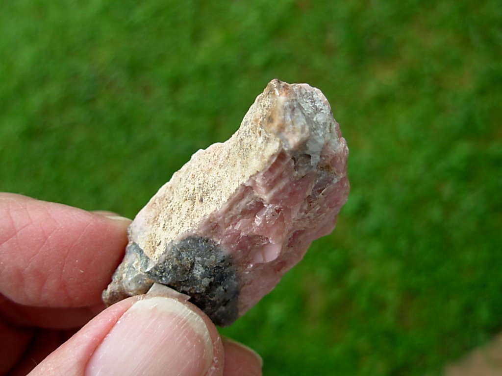 Rhodochrosite on Matrix from Colorado 7 - Image 5