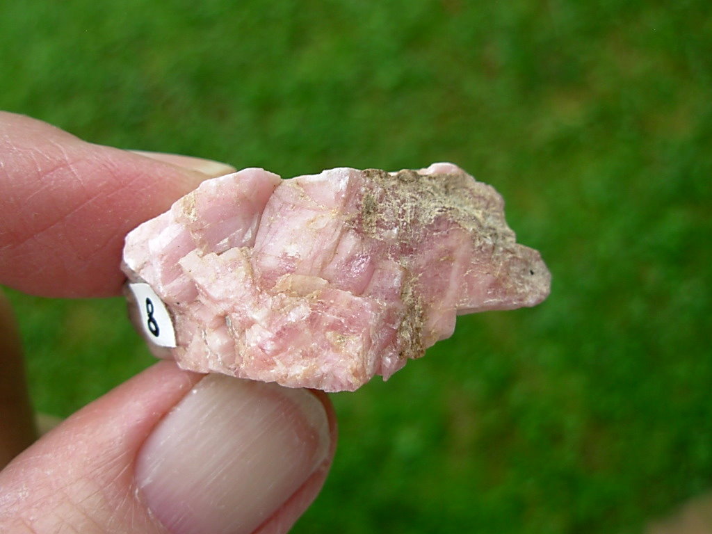 Rhodochrosite on Matrix from Colorado 8
