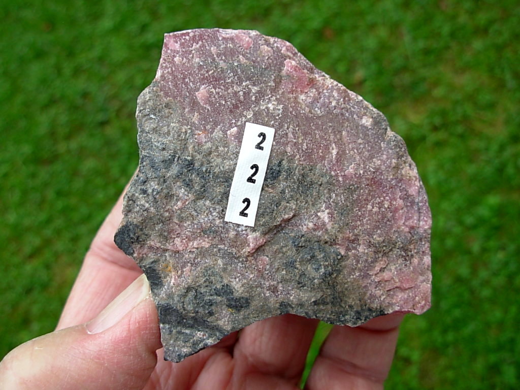 Rhodonite Rough 2 from Africa - Image 5