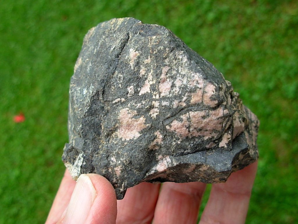 Rhodonite Rough 6 with One Face Cut from Canada