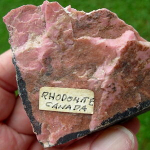Rhodonite Rough 7 from Canada