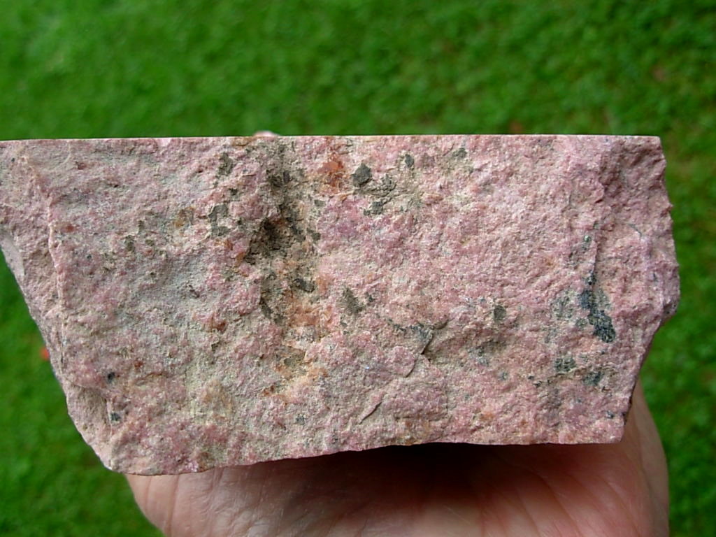 Rhodonite Large Rough 8 with Two Faces Cut - Image 5