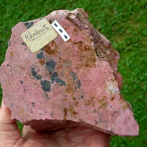 Rhodonite Large Rough 8 with Two Faces Cut